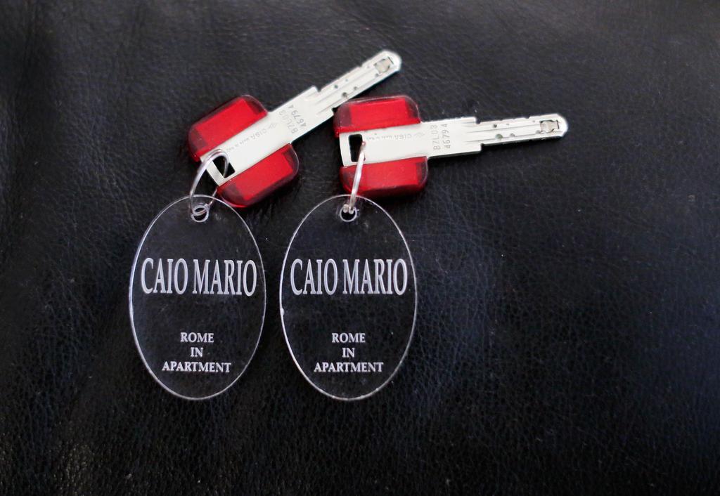 Caio Mario Apartment Roma Dış mekan fotoğraf